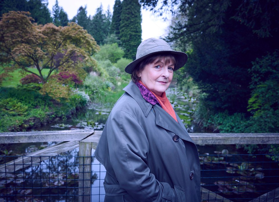 Brenda Blethyn as DCI Vera Stanhope in a garden.