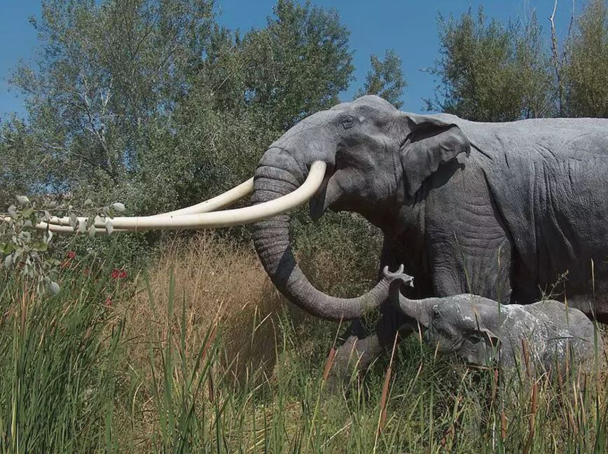 Prehistoric elephant and calf.