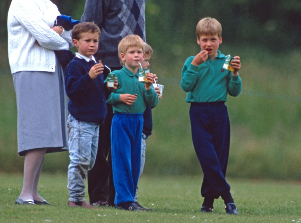 Princes William and Harry watching a polo match, drinking juice and eating snacks.