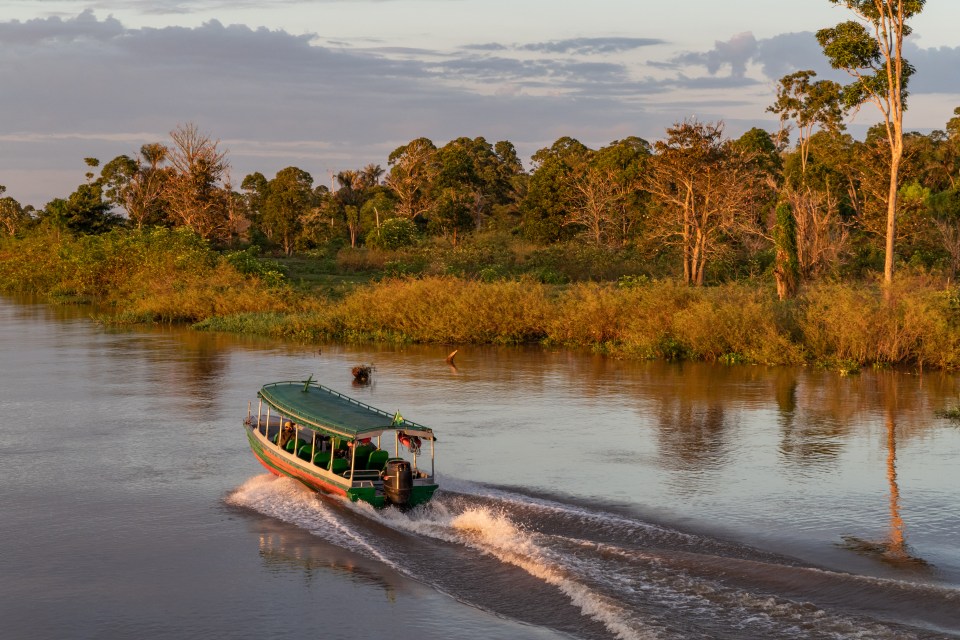 At first light in the early morning, an express passenger boat that services between Manaus and Careiro da Varzea, on the banks across the meeting of the two rivers - Negro and Amazon - heads with only one passenger along the flooded banks of the Amazon´s varzea. This is the only means of transport, as no bridges span across the Amazon river, though quite a few small cities lie along its banks. It is at least twice as fast as the ferry, which will take over an hour to do the same journey.