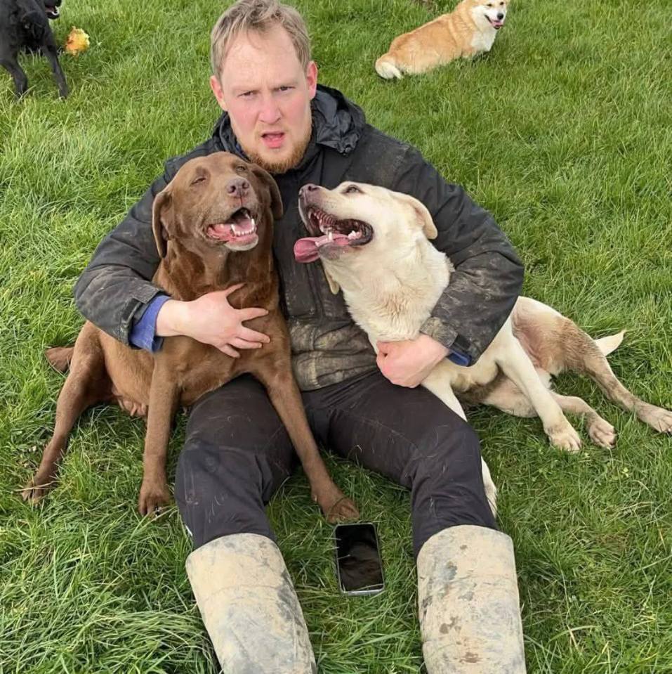 Man sitting on grass with two Labrador Retrievers.