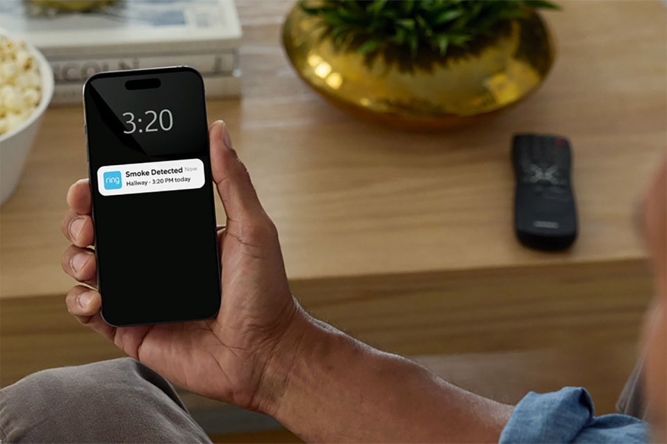 You'll receive alerts about smoke even if you're far away from home
