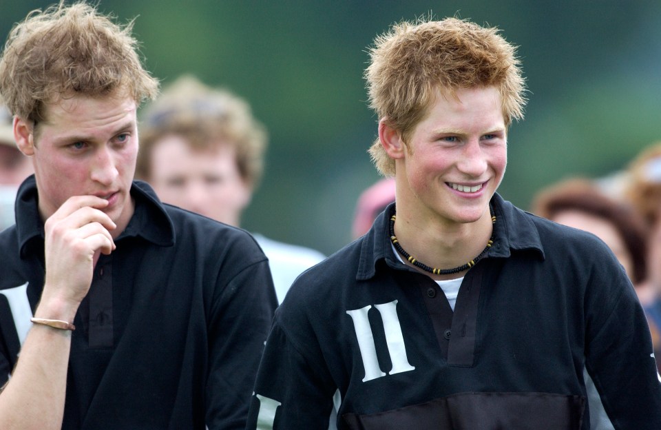 Prince William and Prince Harry at a polo match.  Prince Harry's shirt has "II" on it.