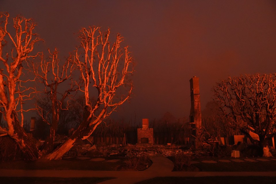 Burned-out house and trees in the Pacific Palisades after a fire.