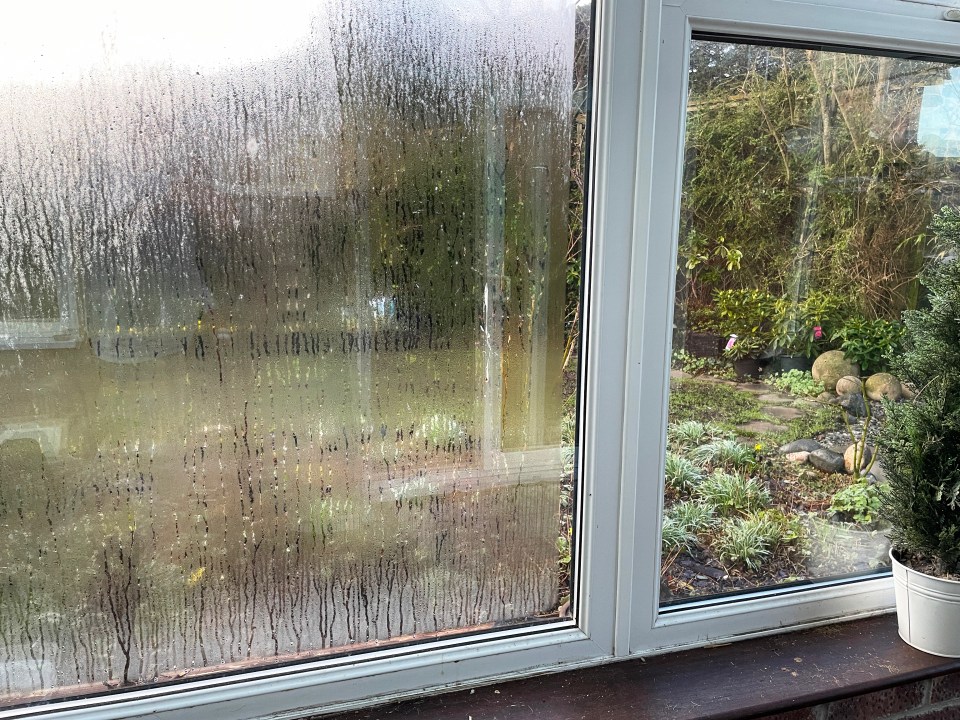 Condensation on a double-glazed window.