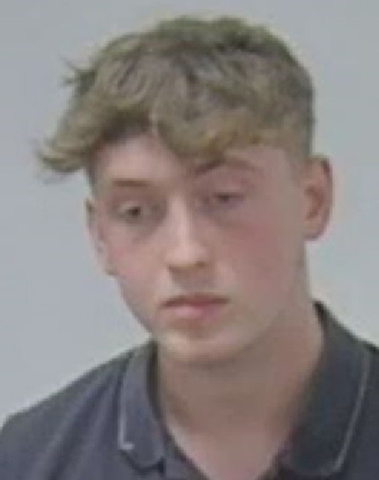 Thomas Johnson was sentenced to nine years behind bars for the deaths of Elliot and mates Daniel Hancock, 18, Ethan Goddard, 18, after he took laughing gas and drove at more than 100mph