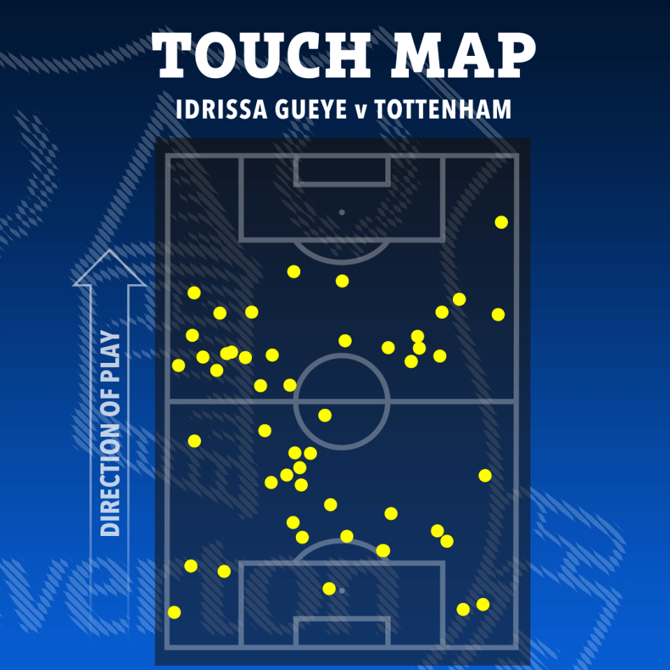 Illustration of Idrissa Gueye's touch map against Tottenham.