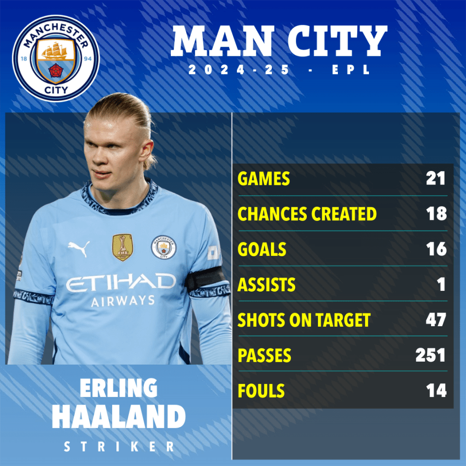 Erling Haaland's Manchester City 2024-25 EPL stats: games, chances created, goals, assists, shots on target, passes, and fouls.