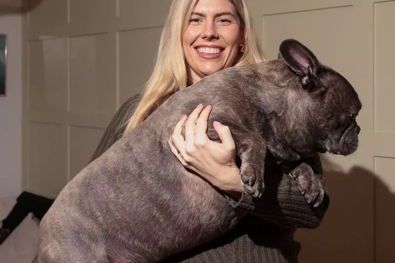 A woman holding a large French bulldog that weighs 26kg.