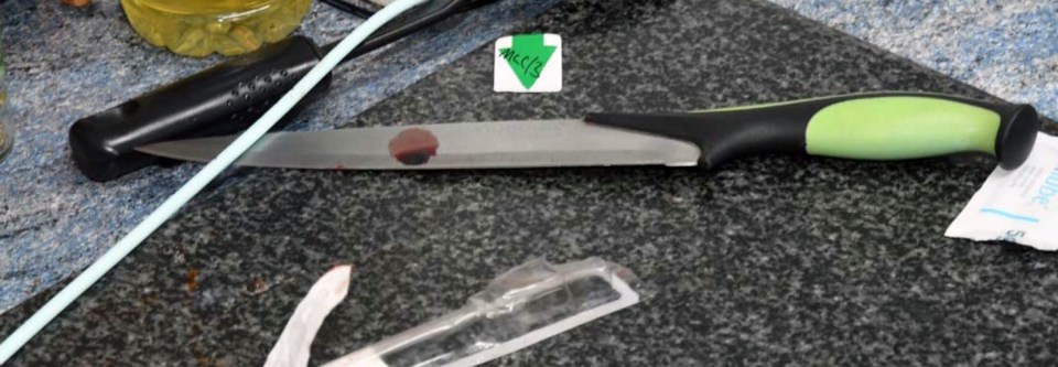 Bloody knife allegedly used in a murder.