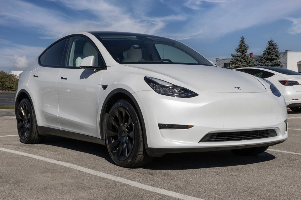 The Tesla Model Y was the only EV to make the top 10