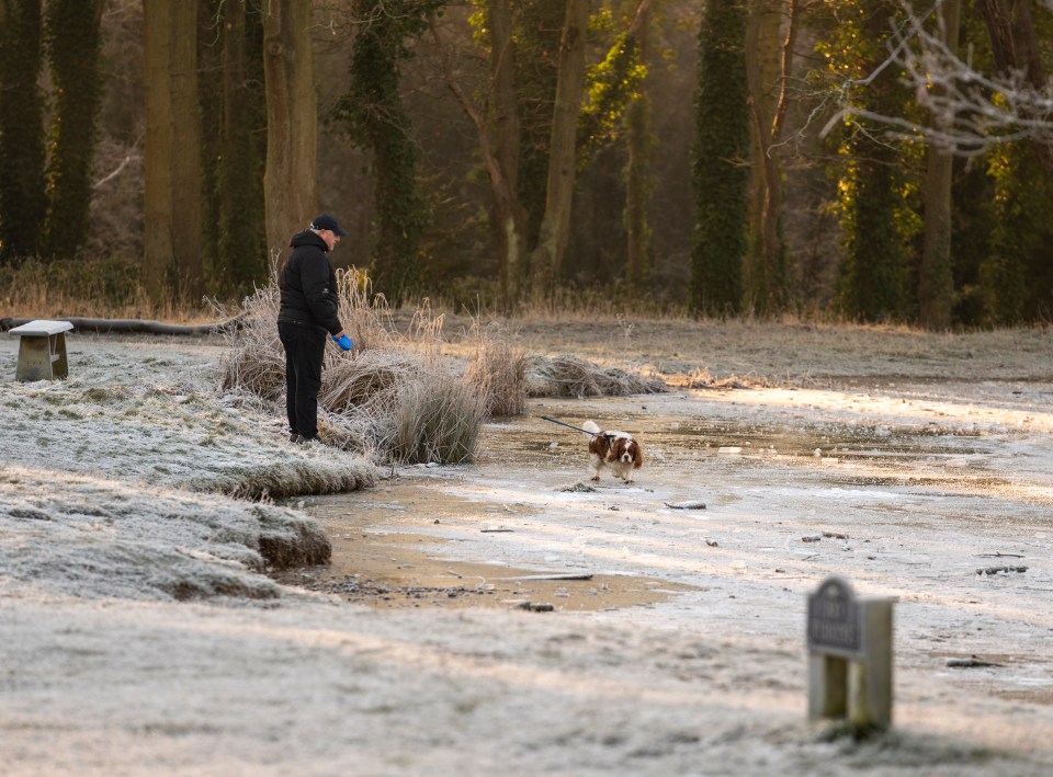 A man and his dog on a frozen pond.