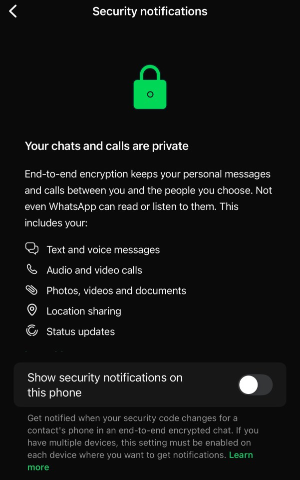 WhatsApp security settings showing end-to-end encryption for chats and calls.