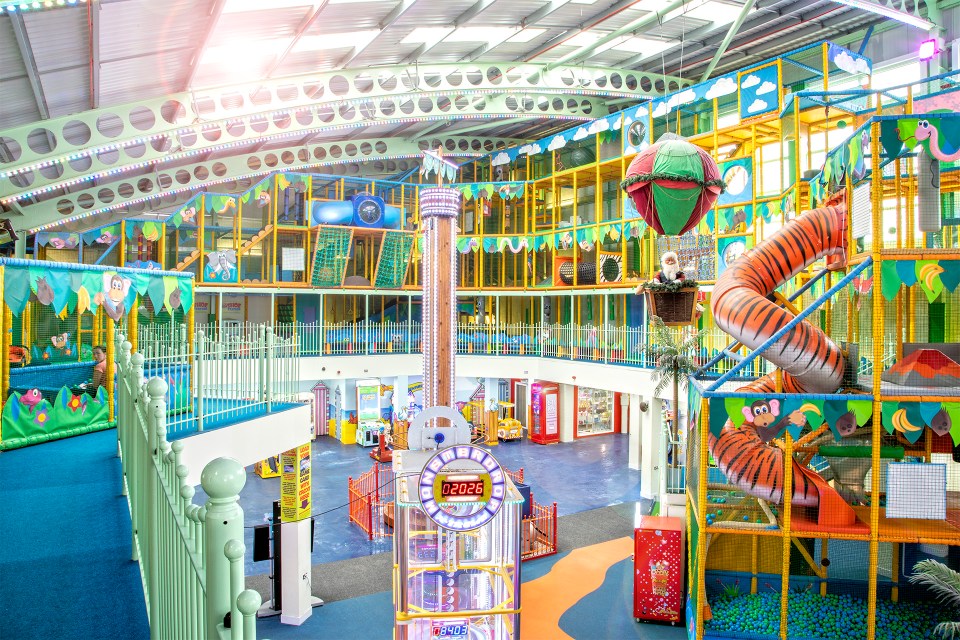 Indoor play area with jungle theme.