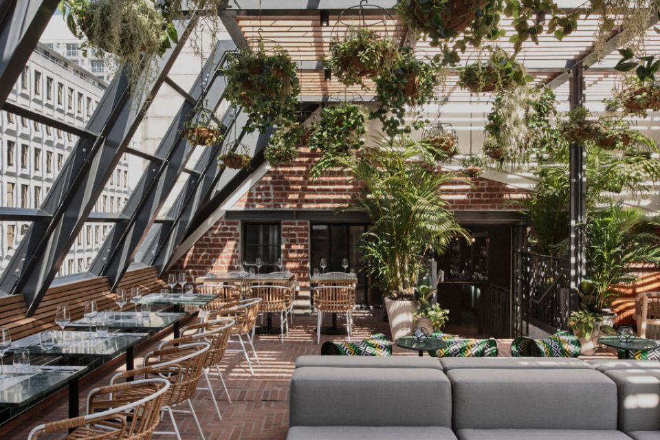 Gigi Rooftop restaurant in Cape Town with hanging plants and seating.